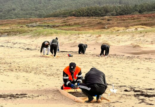 Un grupo de voluntarios participa na limpeza de pellets da praia de Traba